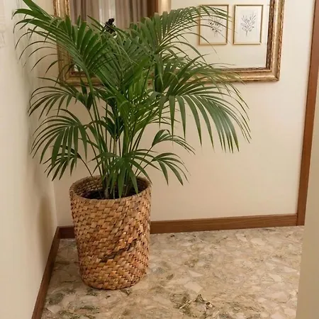 Casa Della Civetta * Монополи